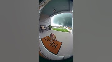 Me ignoring all the Red Flags in my life be like... 🚩⚠️ #relatable #chaos #memes #shorts #sora2