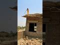 Concrete Lantern Shuttering Removal After 15 Days 🏗️ | Safe Construction Work #Shorts