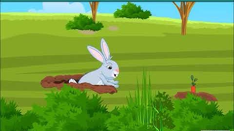 Ear to Ear | Animals Teeth, Ear and Hair | EVS | Class 4