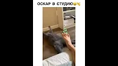 FAMILY Life