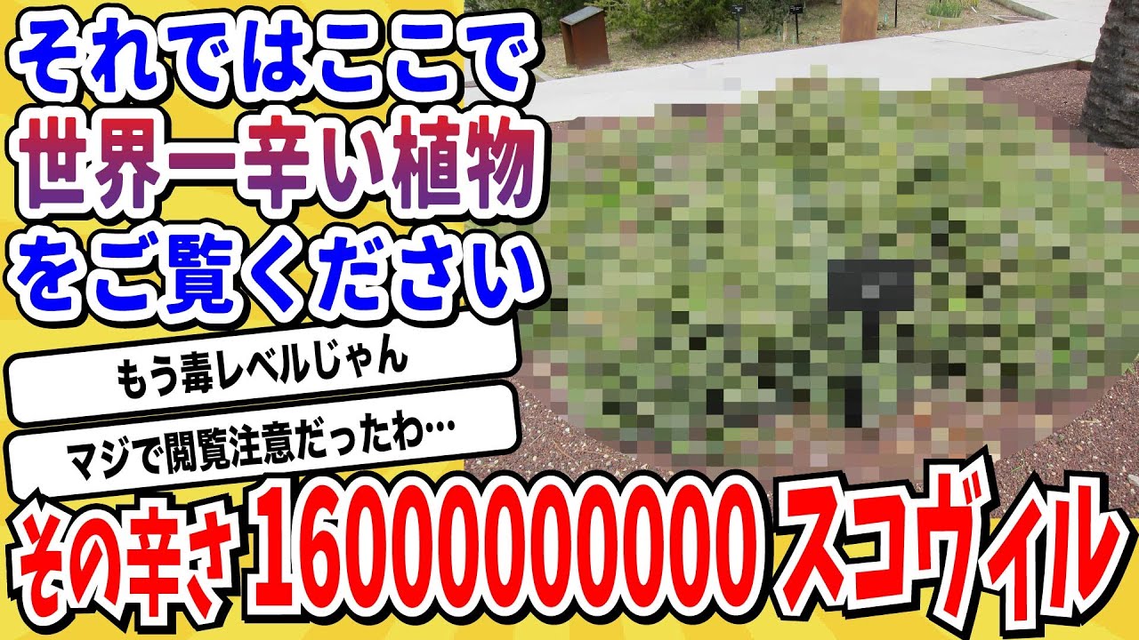 【2ch動物スレ】世界最強の辛さを誇る「植物」がヤバすぎる→カンストしすぎてもはや毒だと話題にwwwww【なんj】