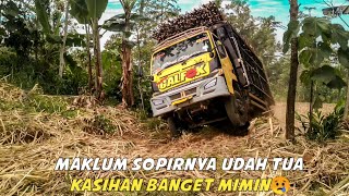 truk tebu lewat tanjakan extreme lihat sopir tua ini melahap medan extreme