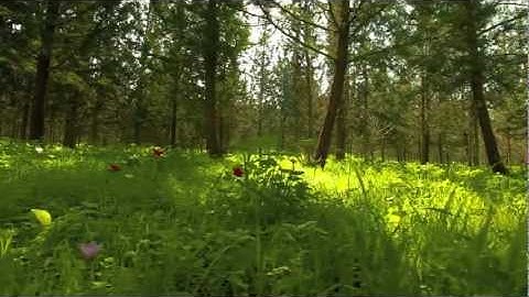 Bryan Carrigan - Morning's Gift