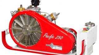 :  . bauer,  nardi, coltri sub.