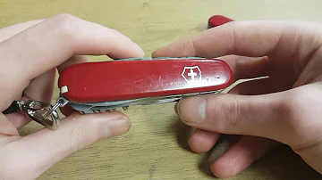 Best Swiss army knife for whittling