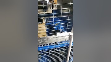 Automatic Watering System Part 2!!! #water #automation #cute #rabbits #cuteanimals