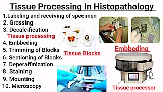 Tissue processing In Hindi || Embbeding || Staining || Deperaffinization || Sectioning of Tissue .