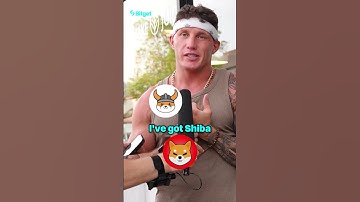 Memecoin Pick pt1: Which one will be your final choice?