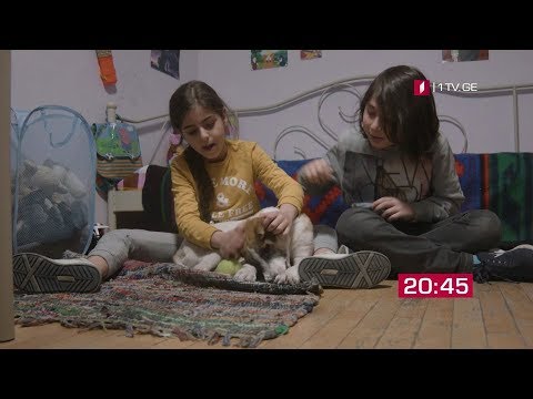 „იდეალური დედა“(U) - ყოველდღე შაბათ-კვირის გარდა, 20:45