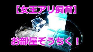 飼育中の女王アリ家族たちのお部屋を100均材料で増築です 水色のゼリーとクリアなケースがキレイですね Ant Farm Youtube 飼育中の女王アリ家族たちのお部屋を100均材料で増築です 水色のゼリーとクリアなケースがキレイですね Ant Farm Youtube