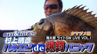 村上晴彦SWライブ-ハネエビde爆釣パニック【夕マヅメ編】 海太郎ハネエビ＆ハネエビパニック炸裂