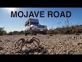 MOJAVE ROAD DESERT TRIP | Overland Travel Vlog Ep.78