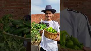 طريقة زراعة الخيار من البذور في المنزل ? How to grow cucumber from seeds at home
