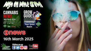 Terpenes May Replace Opioids? | Cannabis &amp; The Brain | NHS Docs Support Medical | Grow Room Cleaning