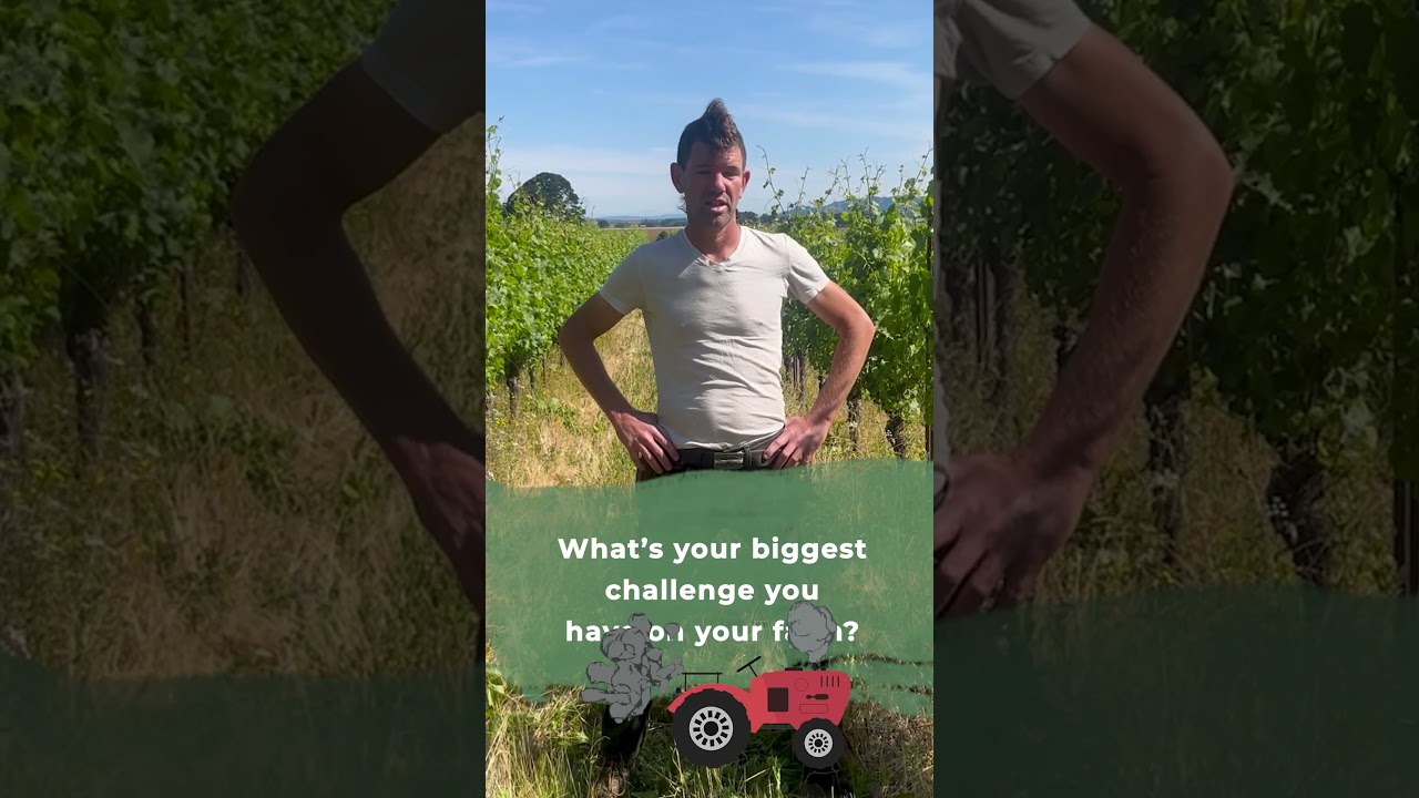 5WAF: Натан Вуд из Johan Vineyards