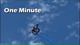One Minute with a Kite