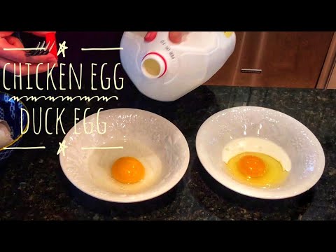 Duck Eggs vs. Chicken Eggs: What's the Difference?