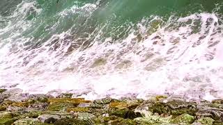 Zyklen Polina Excerpt From Album Pölym