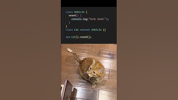 Cat only honked once.. #coding #programming #codingmeme #programmingmeme