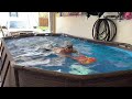 Swimming in Garage: Bestway / Intex Pool