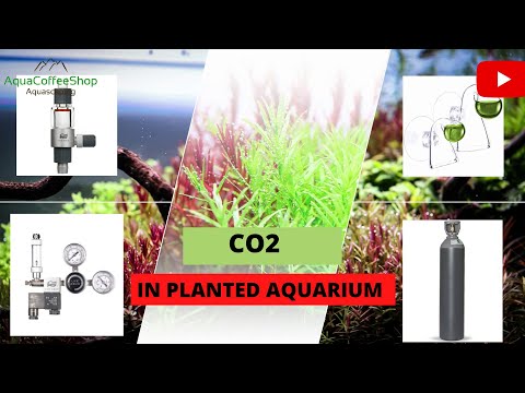 CO2 in Planted Aquarium English Subtitles