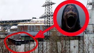 13 Мутантов Чернобыля Снятых на Камеру 13 Мутантов Чернобыля Снятых на Камеру