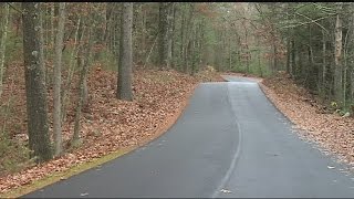 What happens if you hit a deer with your vehicle