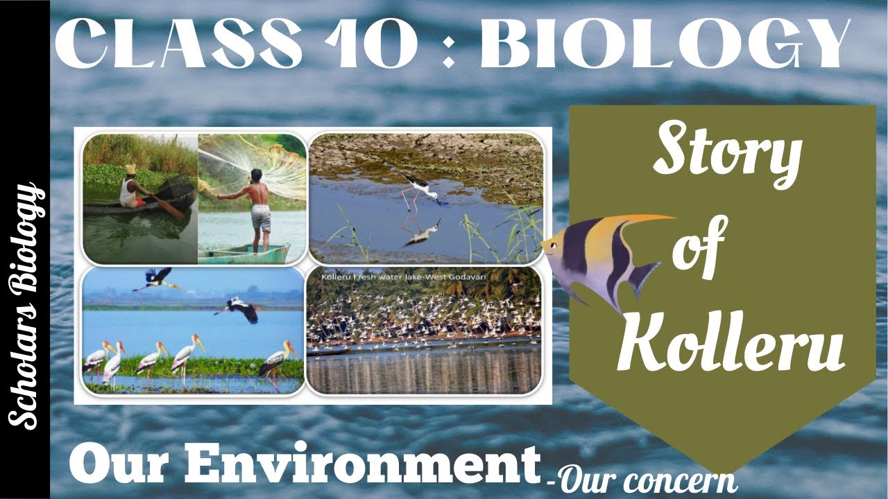 Class 10 -Biology- Our Environment-Story of Kolleru
