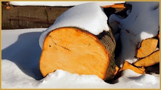Как быстро высушить сырые дрова зимой
