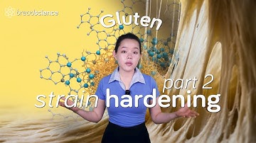 Visualizing Gluten Development in Bread Dough  | Strain Hardening Part 2/4