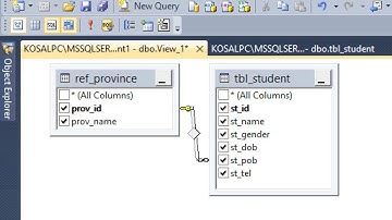 VB and SQL connection using wizard (Cambodia)