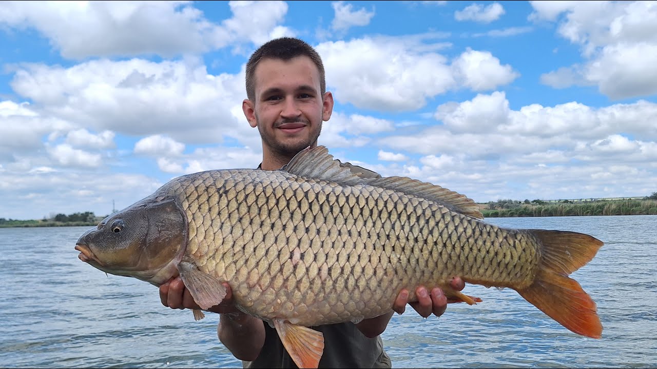 Такого я не очікував. Величезний КОРОП ледь не вкрав вудку. Дві доби на риболовлі. Готую на природі