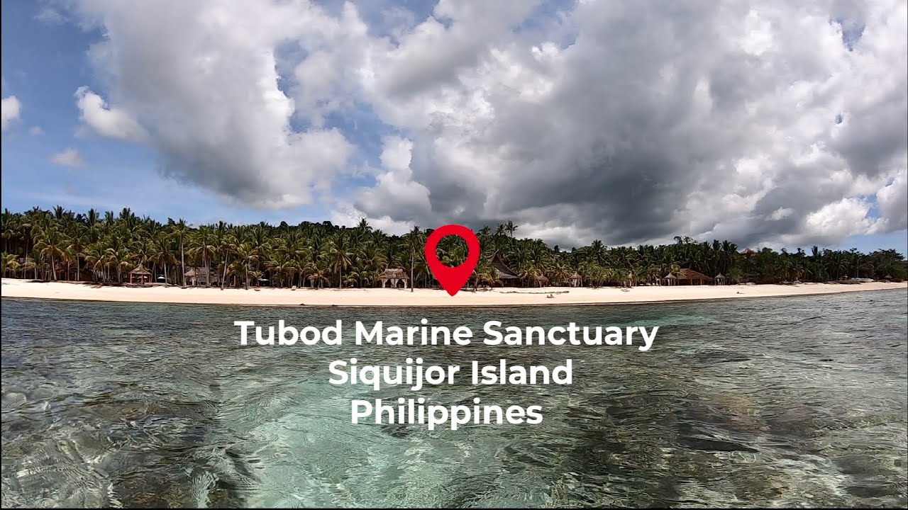 Tubod Marine Sanctuary | Siquijor Island | Philippines 🇵🇭