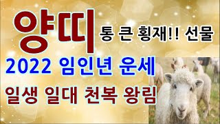 양띠운세/대박시기/양띠사주/양띠1년운세/양띠로또번호/양띠부자운/양띠재물운/양띠애정운/2021양띠운세/양띠20…