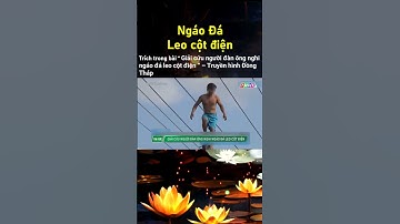 Ngáo Đá Leo Cột Điện - Truyền hình Đồng Tháp #shorts #ngaoda #matuyda