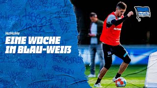 HaHoHe - Eine Woche in Blau-Weiß | 7. Spieltag | Hertha BSC vs. SC Freiburg