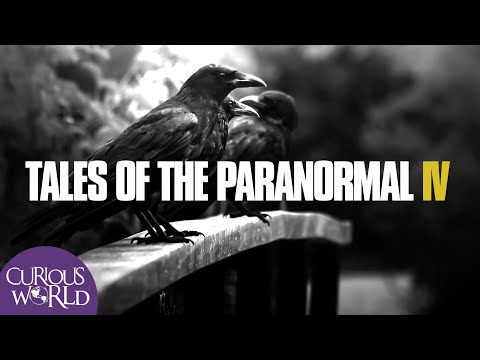 Tales of the Paranormal IV