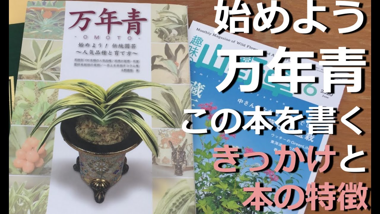 著者の豊明園が解説 万年青の本 始めよう 伝統園芸 万年青 入門品種と育て方 本を書くきっかけと特徴 万年青の豊明園 Book Of Omoto Explained By The Author Youtube 著者の豊明園が解説 万年青の本 始めよう 伝統園芸 万年青 入門品種と育て方 本を書くきっかけと特徴 万年青の豊明園 Book Of Omoto Explained By The Author Youtube