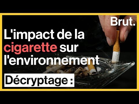 L'impact de la cigarette sur l'environnement