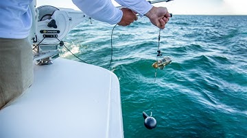 Fish Hawk™ Probe for Accurate Downrigger Data