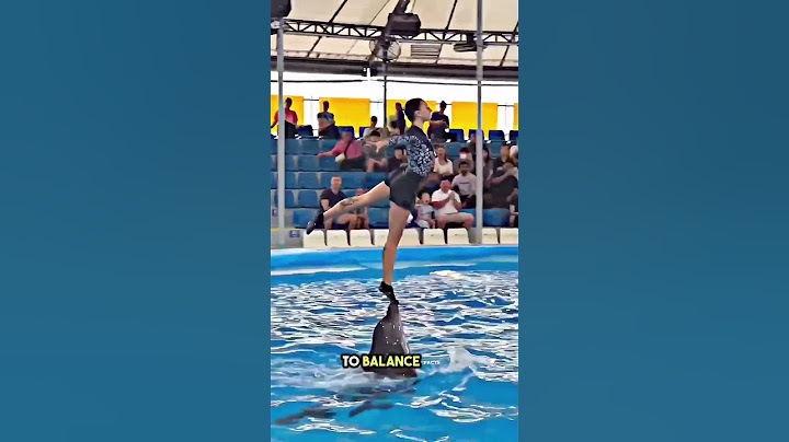 Don't Make This Dolphin Stunt Mistake 😯