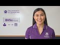 Interested in studying Vet Science at The University of Queensland?