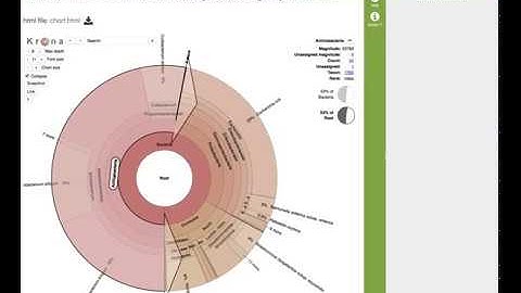 PATRIC Taxonomic Classification Service