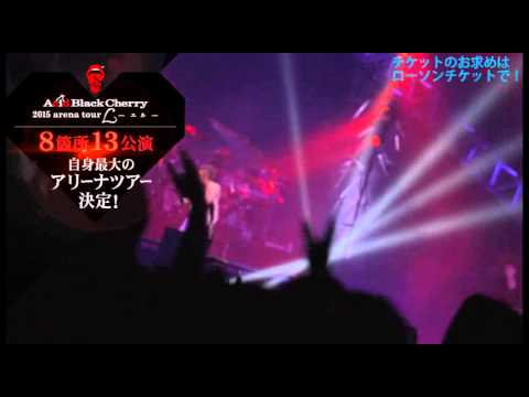 Acid Black Cherry チケット半券【レア・貴重】アリーナ最前列 Acid Black Cherry チケット半券【レア・貴重】アリーナ最前列