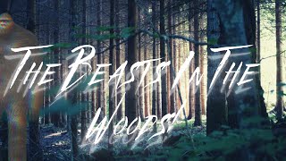 The Beasts I Seen In The Woods! (Terrifying Bigfoot Encounter!)