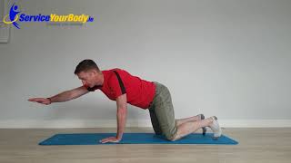 AC Joint Separation Rehab Exercises