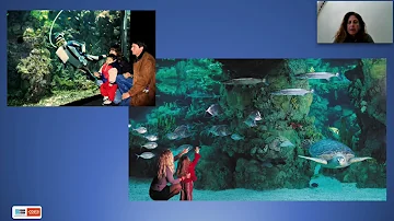 Chi è il proprietario dell'Acquario di Genova?