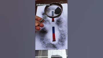 Pattern of iron filing around opposite poles of bar magnet #shorts #science #ytshorts