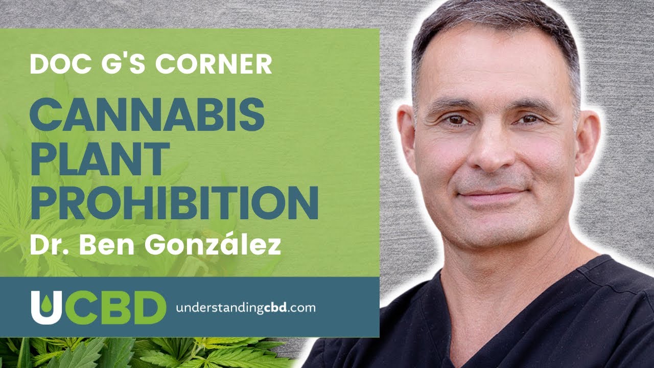 Cannabis Plant Prohibition - Doc G's Corner