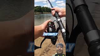 Does BIG Bait EQUAL Big FISH!? (Find😱😱😱🐠#short Wealth